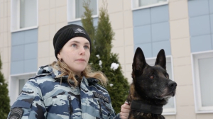 Хвостатый и усатый полицейский вывел коллег на след поджигателя вышки в Ленобласти