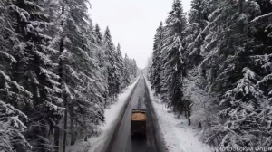 Дворцовая готовится к приему главного символа Нового года: для зеленой гостьи подготовят ретро-наряд
