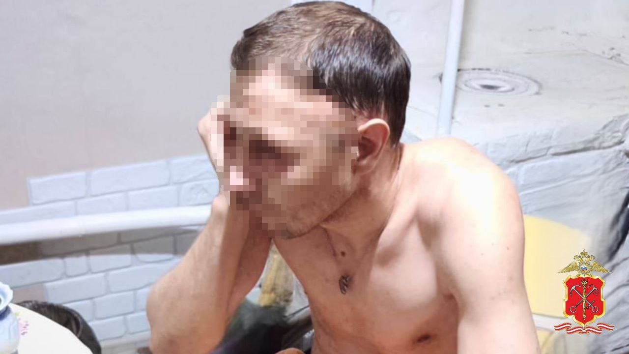 Десятки переписок и детское порно: полиция Петербурга задержала педофила из-под Новосибирска