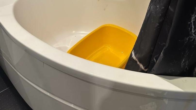 Появилось фото тазика, в котором жительница Петербурга утопила младенца