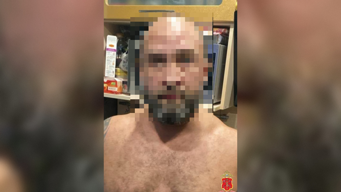 В Петербурге взяли торговца оружием — злодей попался на пересылке частей винтовки