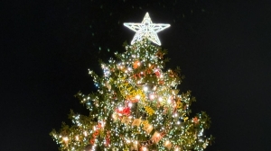 Елку на Дворцовой защищают от падения 100‑метровые тросы и 34-тонный фундамент