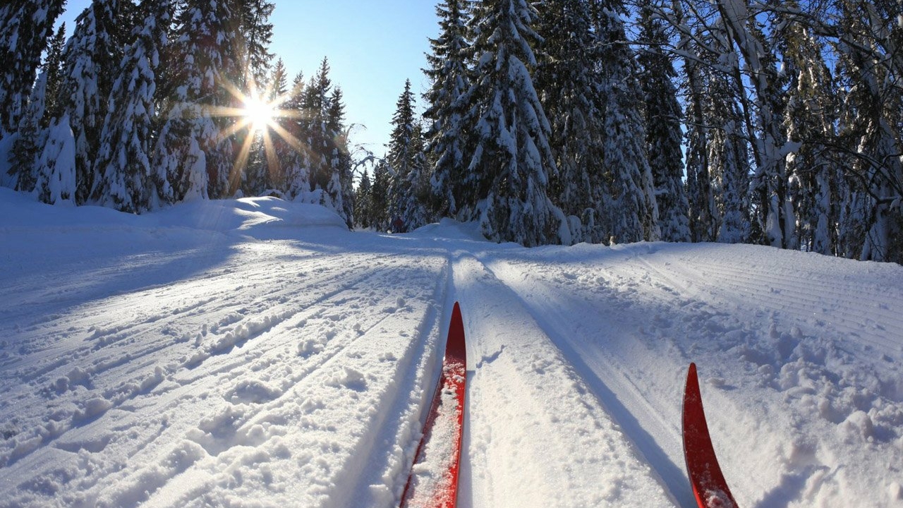 Вяльбе оценила поведение Большунова на Кубке России