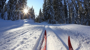 Российские лыжники подали заявки на нейтральный статус