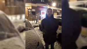 «Испугался»: сбившего женщину с детьми в Кудрово водителя без прав задержали