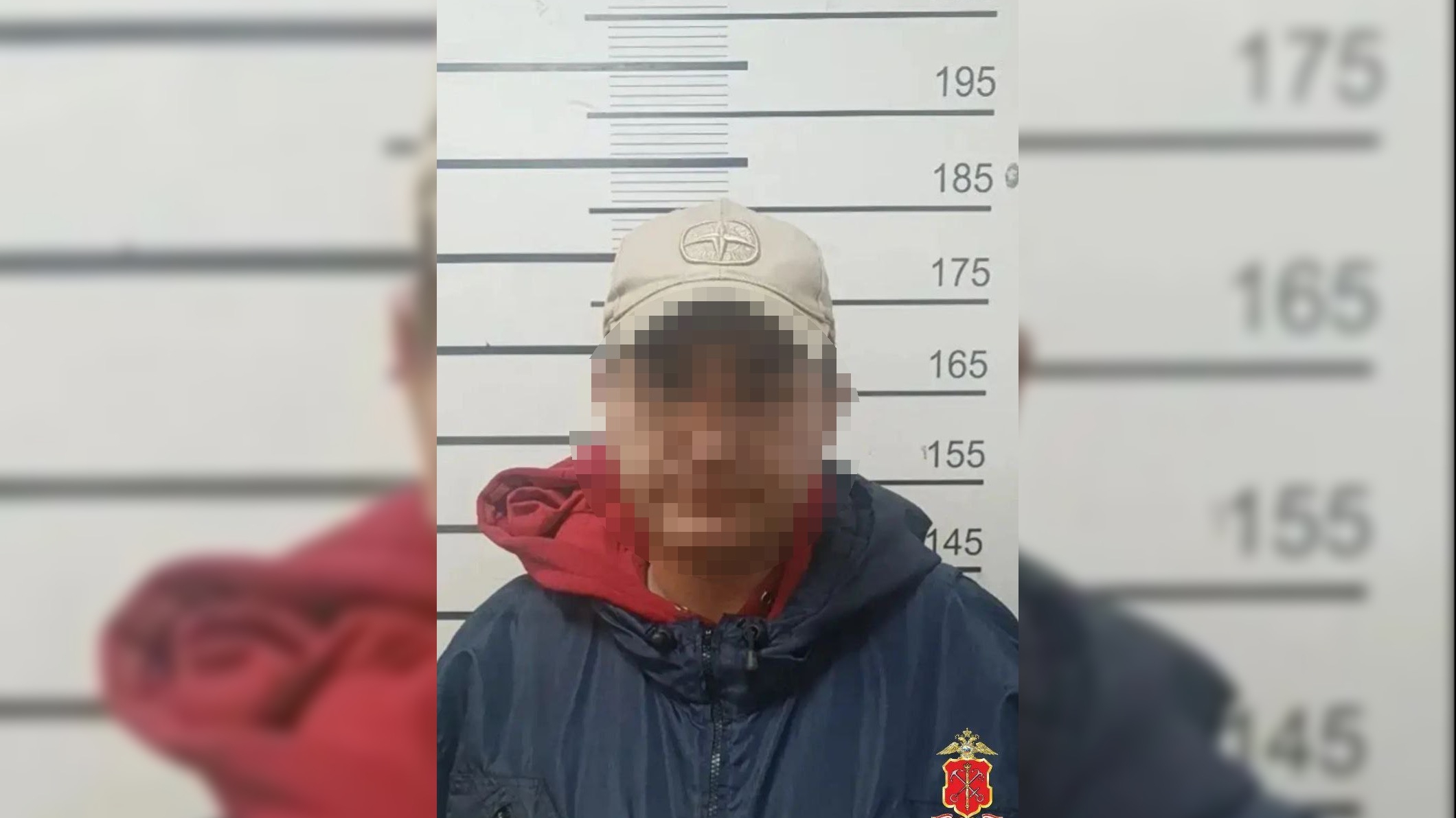 Полиция задержала рецидивиста, ограбившего студентку на станции «Ладожская»