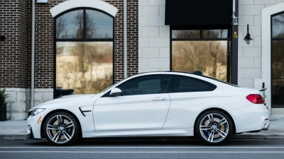 «Автотека» и РГБ: почему молодежь все чаще ищет проверенную информацию