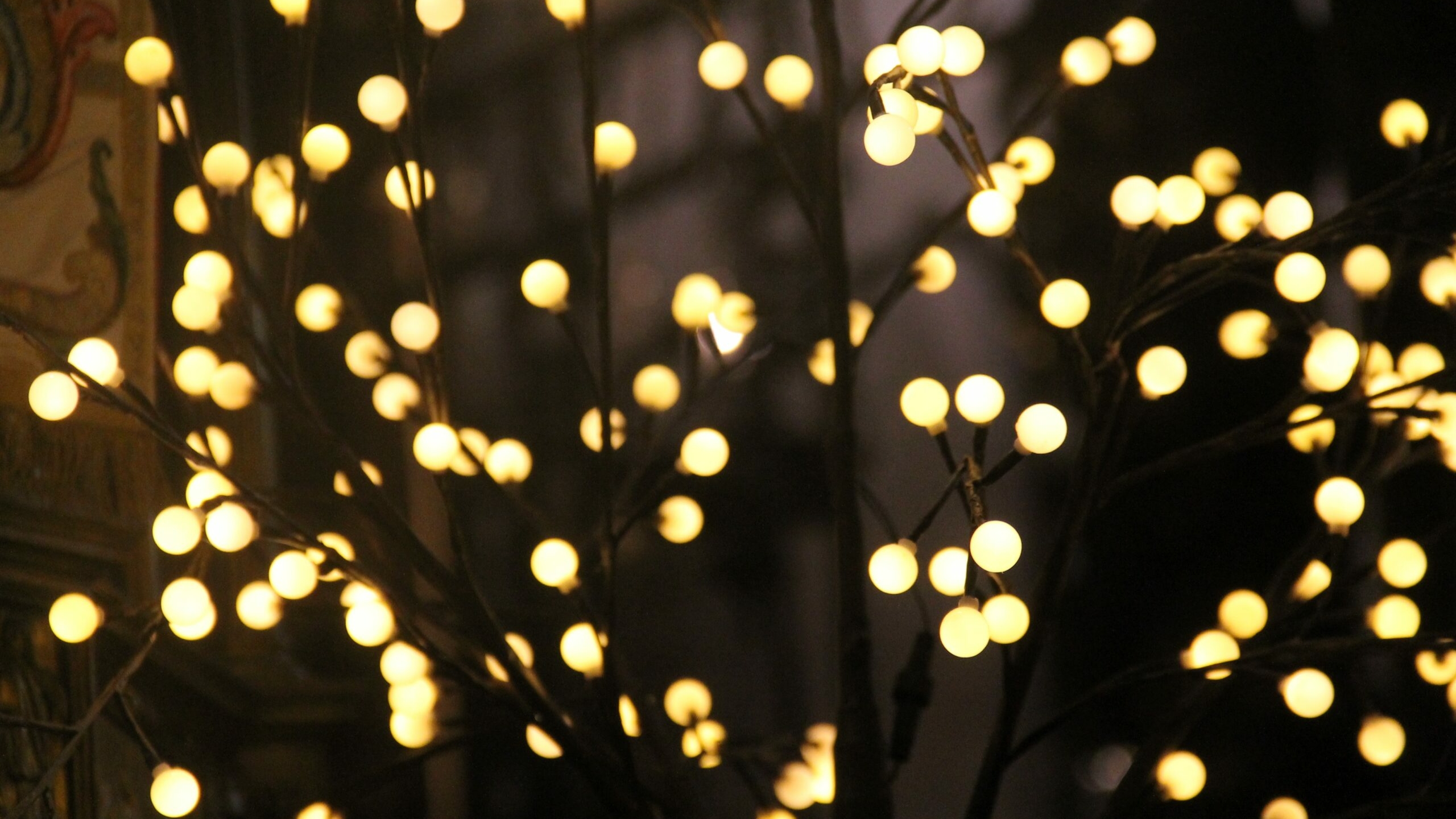 Им за это платят что ли?! Из-за соседей петербуржцев штрафуют на 15000 рублей — с гирляндами в квартирах теперь строго