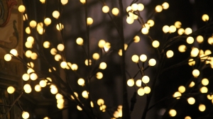 Им за это платят что ли?! Из-за соседей петербуржцев штрафуют на 15000 рублей — с гирляндами в квартирах теперь строго