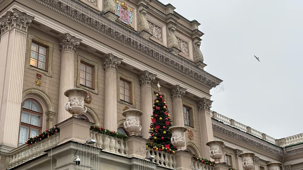 Петербургские ИП лишатся ПСН для охранных услуг: закон приведут в соответствие с федеральным