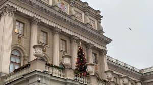 Петербургские ИП лишатся ПСН для охранных услуг: закон приведут в соответствие с федеральным