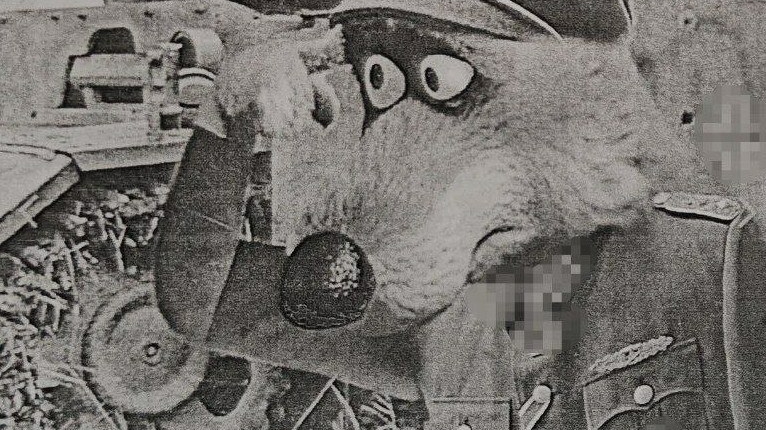 Серый в нацисткой форме из «Маши и медведя» подставил петербуржца