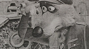 Серый в нацисткой форме из «Маши и медведя» подставил петербуржца