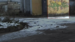 Нейросеть «Городовой» обнаружила больше тысячи граффити на улицах Петербурга с начала 2025 года 