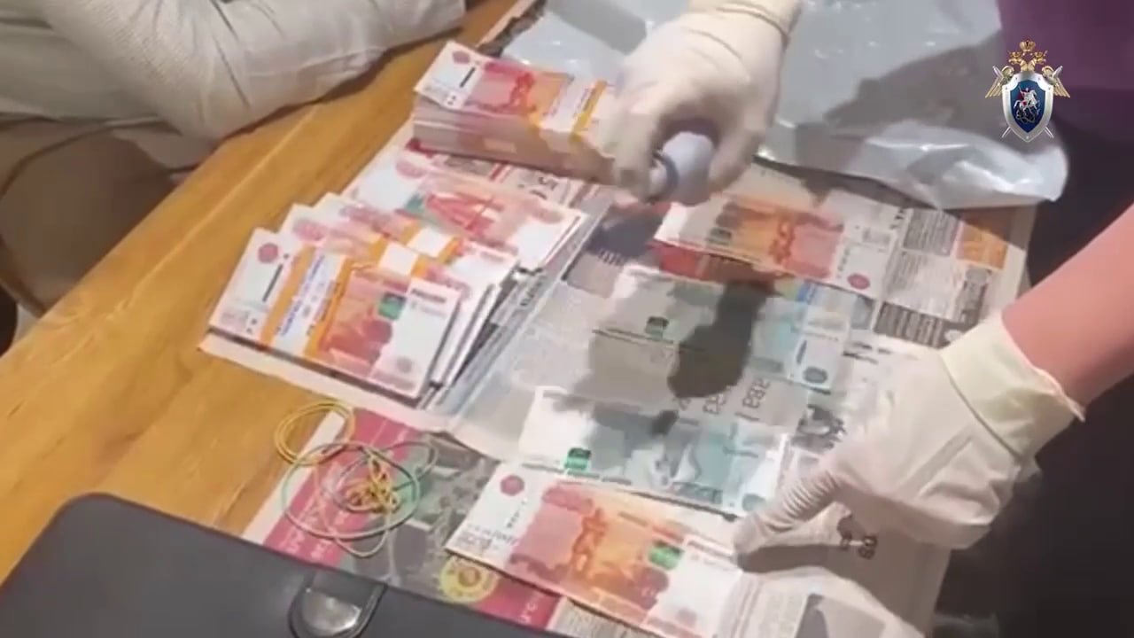 Прибыль в десятки миллионов: ОПГ по подделке налоговых документов раскрыли в Петербурге