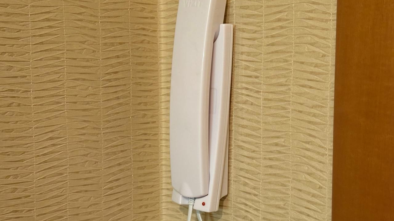 Замена домофона обошлась петербургской пенсионерке в 14 млн рублей: на другом конце трубки находились мошенники