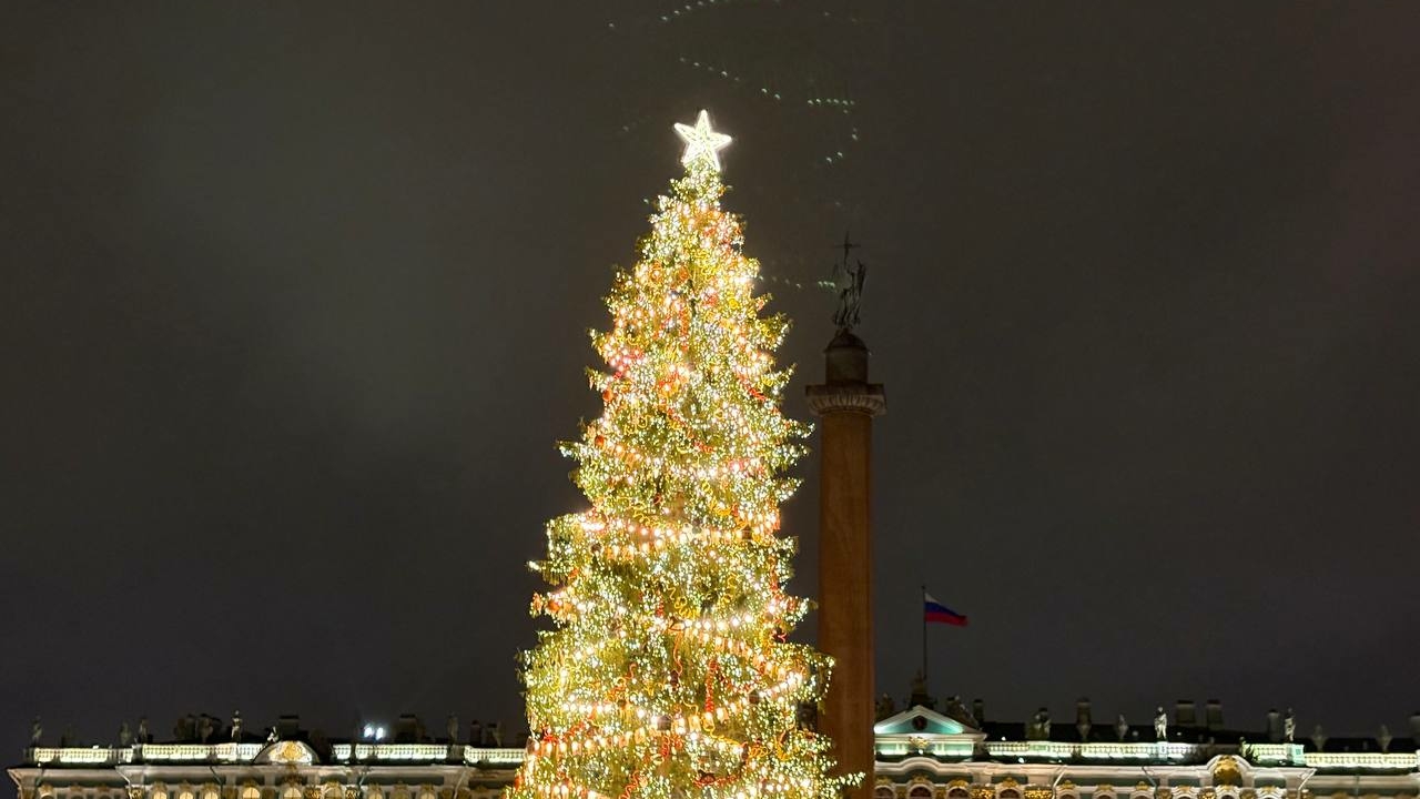 Посмотреть на оленей Деда Мороза и ледяные фигуры в Кронштадте: куда сходить бесплатно в Петербурге 27 и 28 декабря