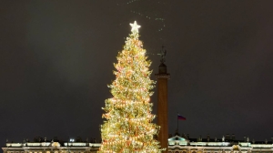 Посмотреть на оленей Деда Мороза и ледяные фигуры в Кронштадте: куда сходить бесплатно в Петербурге 27 и 28 декабря