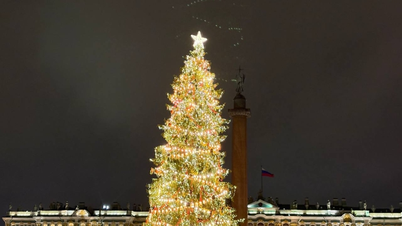 Посмотреть на оленей Деда Мороза и ледяные фигуры в Кронштадте: куда сходить бесплатно в Петербурге 27 и 28 декабря