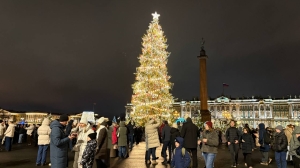 Петербуржцы рассказали, сколько денег выделили на новогодние праздники