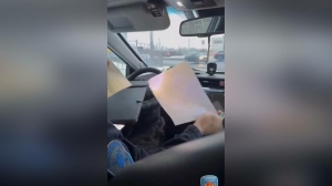 Выкрученный руль и езда по встречке лишили калининградца машины в Петербурге. Взамен он получил протокол