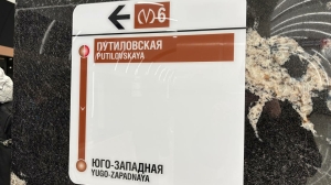 Проектировщика пожарной системы ищут продления коричневой ветки метро Петербурга