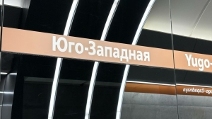 Петербуржцы надеялись и ждали: кадры с «Юго-Западной» и «Путиловской»