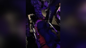 Зубастую петербурженку отправили в больницу с помощью росгвардейцев после нападения бригаду скорой