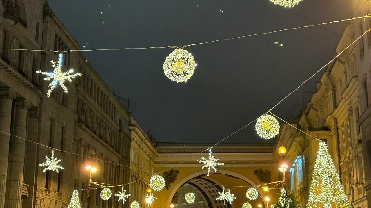 Петербуржцам рассказали, как не провести новогоднюю ночь в отделе полиции