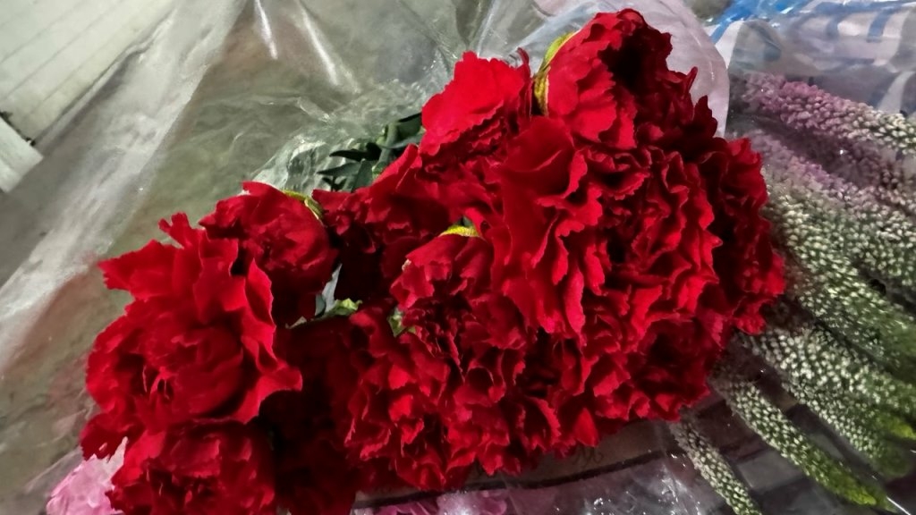 В Петербурге огонь очистит почти 700 зараженных гвоздик и хризантем