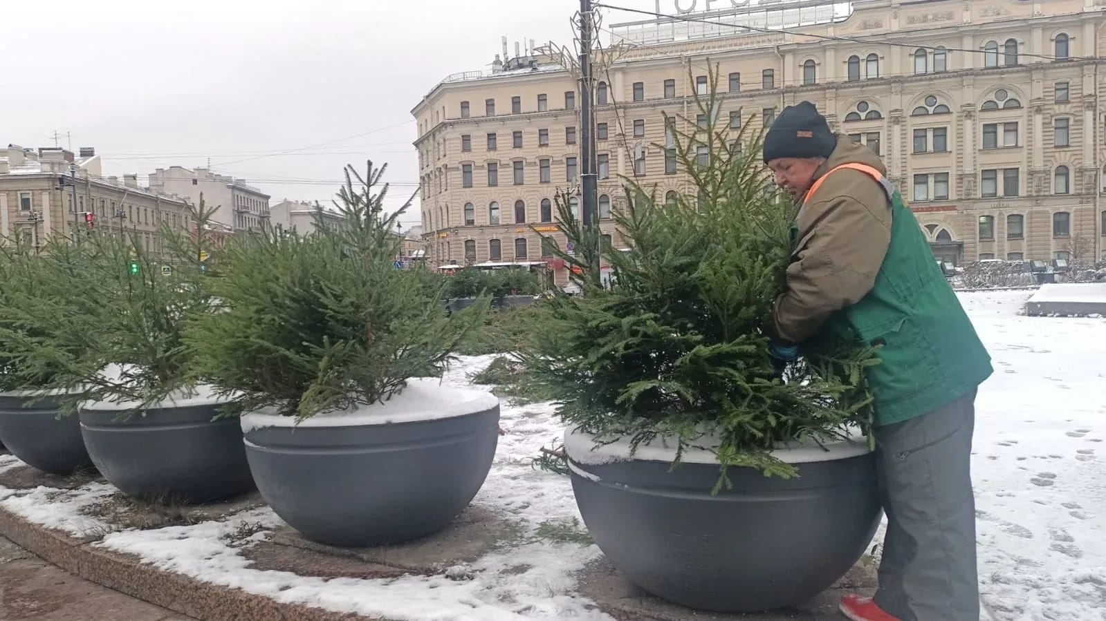 В Петербурге к Новому году появились хвойные украшения