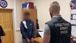 В Петербурге пытавшийся отмазать брата мигрант стал фигурантом дела за дачу взятки