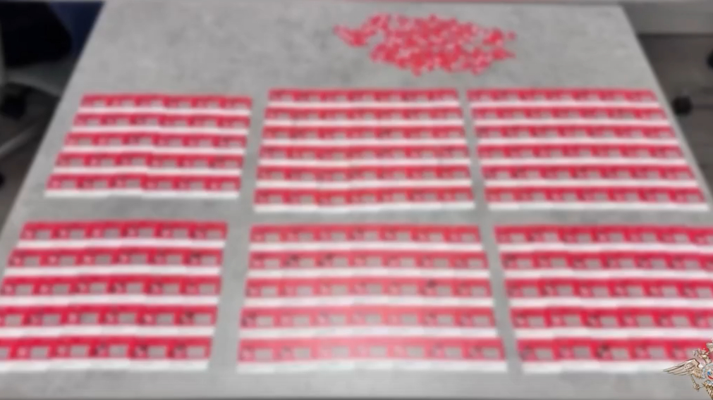 В Петербурге накрыли аферистов за связь с украинскими мошенниками: пострадали жители 10 регионов России