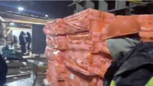 Во время миграционного рейда на стройках Ленобласти задержали лесных беглецов