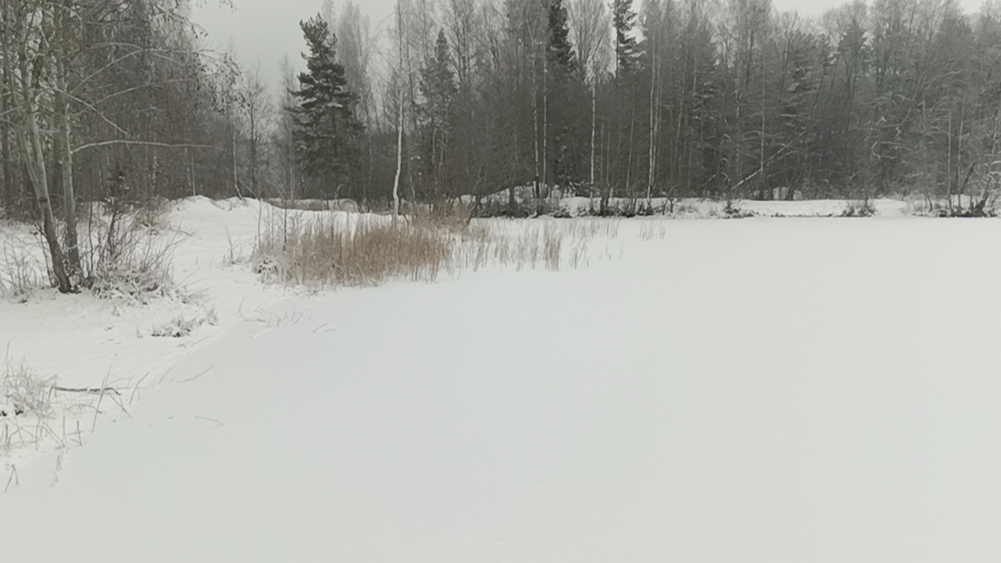 Первый труп: МЧС напоминает петербуржцам и жителям Ленобласти об опасности выхода на лед