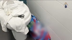 Манифест «Мой гнев», убийство ребенка и заложник: что известно о нападении на школу в Одинцово