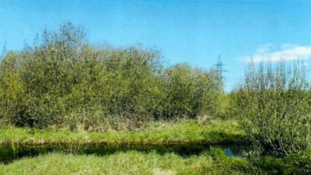 Новогодняя распродажа: под Петербургом продают «сотки» под дачи