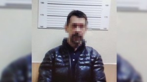 Гулявшая с собакой петербурженка спугнула пытавшихся угнать ее BMW воришек