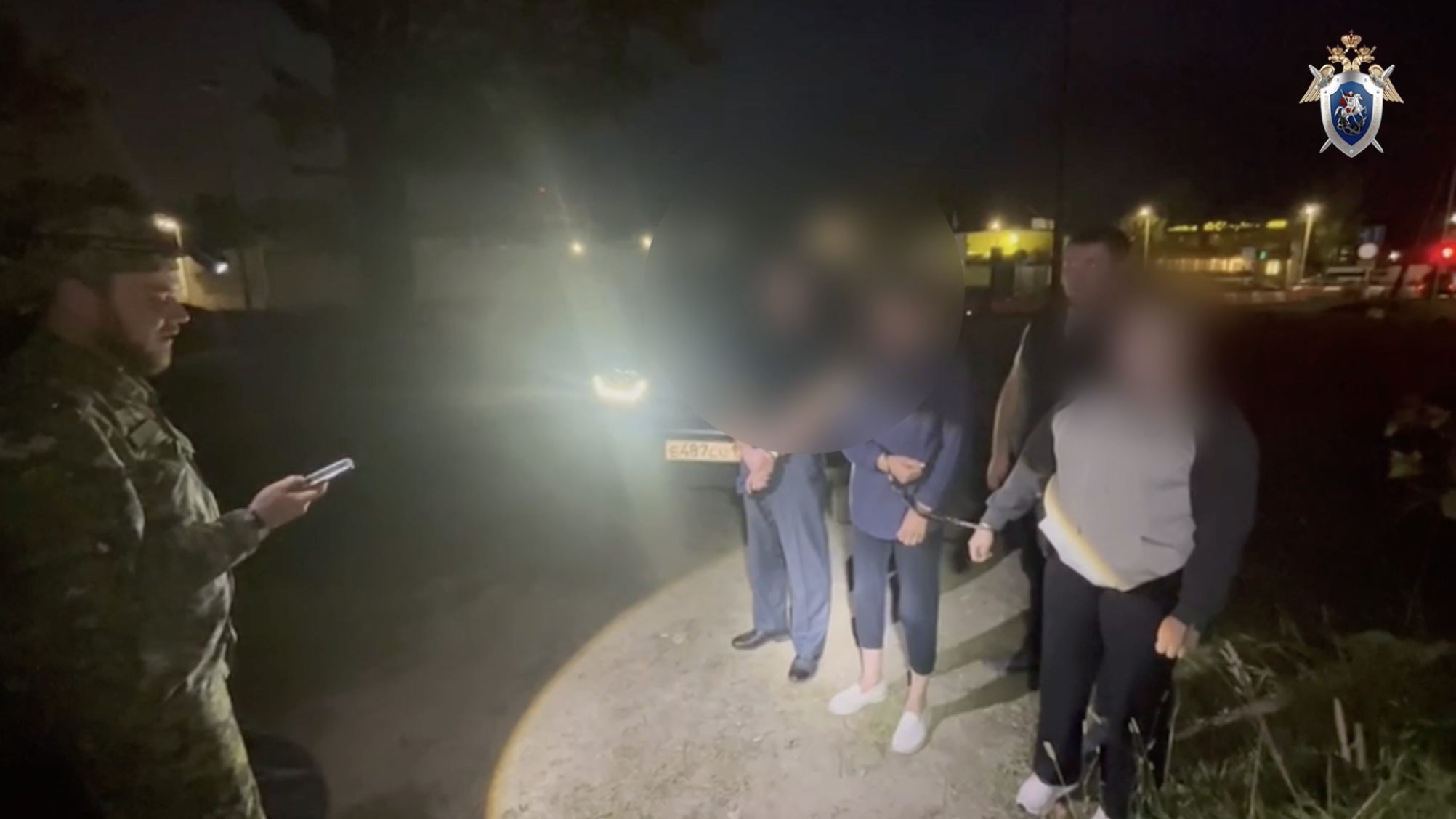 Жительнице Гатчины грозит до 15 лет в ИК за проколотого вилами приятеля