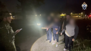 Жительнице Гатчины грозит до 15 лет в ИК за проколотого вилами приятеля