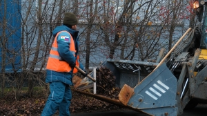 В Петербурге трудятся 3,44 млн легальных мигрантов