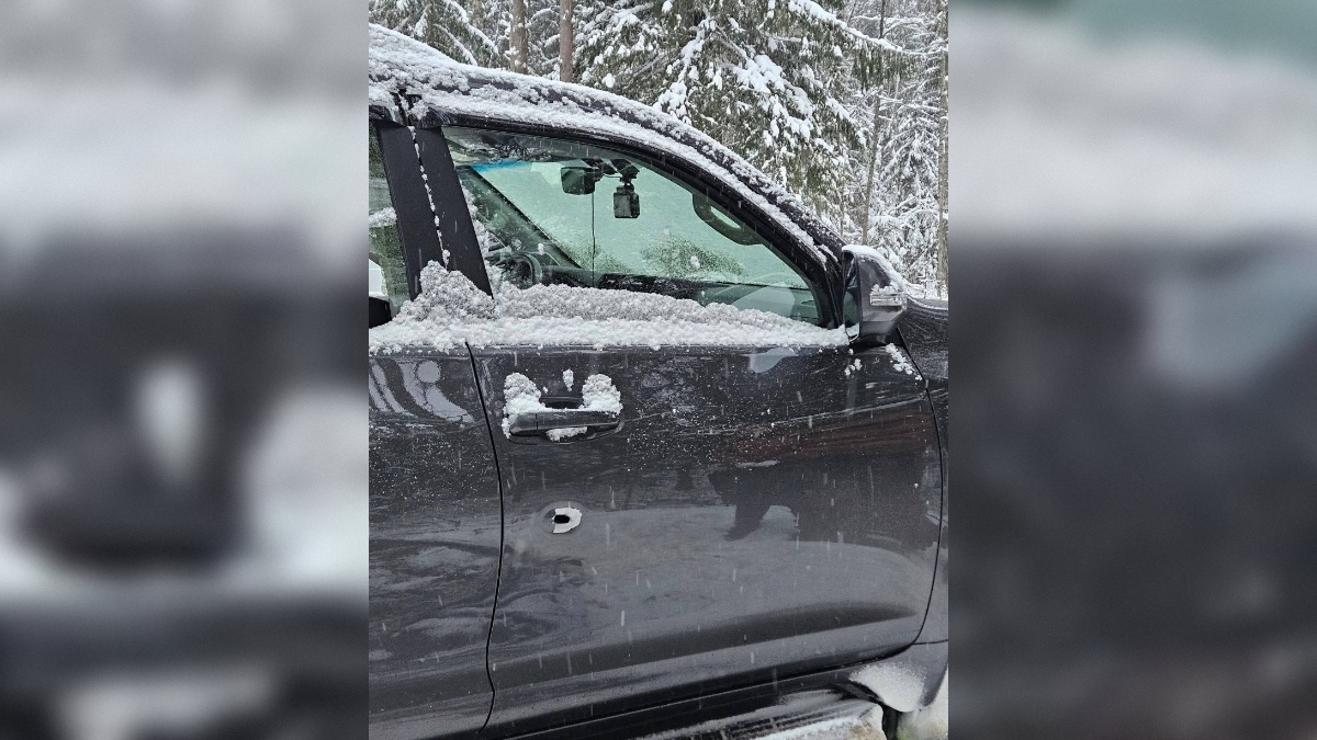 Перепутал с лосем: в Ленобласти охотник случайно застрелил человека в машине