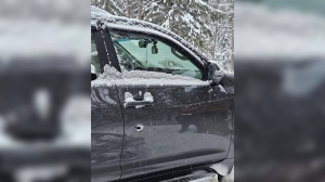 Перепутал с лосем: в Ленобласти охотник случайно застрелил человека в машине