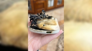 Пауэрбанк полыхнул в руках петербургского школьника — подростку потребовалась помощь медиков