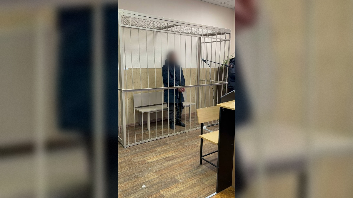 В Петербурге избившего под наркотиками инспектора ДПС мужчину взяли под стражу