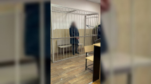 В Петербурге избившего под наркотиками инспектора ДПС мужчину взяли под стражу