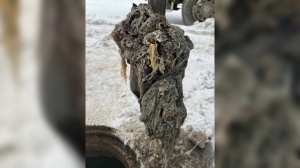 Водоканал показал, что стало причиной отключения воды на Арцеуловской аллее