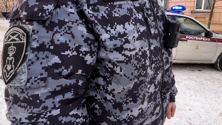 На Обводном пьяный белорус почистил чужую иномарку от снега и попытался в нее залезть