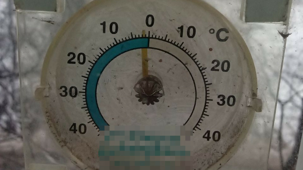 Циклон из Баренцева моря принесет в Петербург потепление