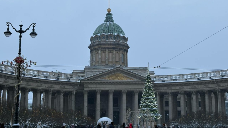 Катание на лыжах в парке «Александрия» и терапия сказками: куда сходить бесплатно в Петербурге 7 и 8 февраля